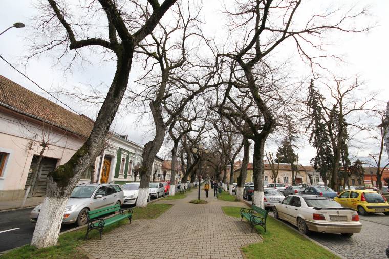 Megvédenék a marosvásárhelyi Vár-sétányt