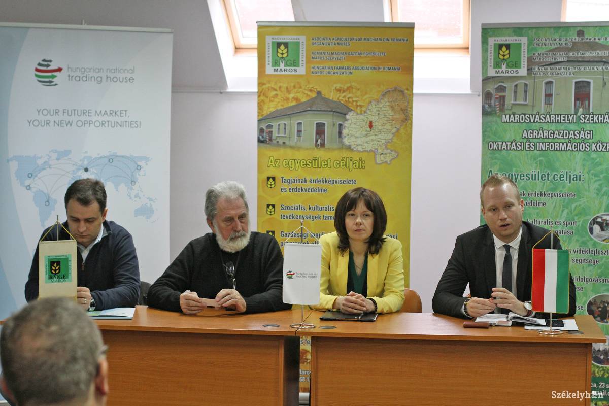 &bullet;  Fotó: Boda L. Gergely