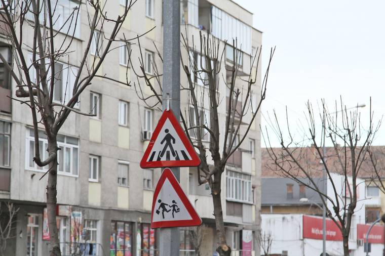 A tábla marad, a fa költözik