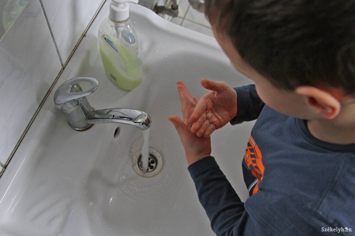 &bullet;  Fotó: Boda L. Gergely