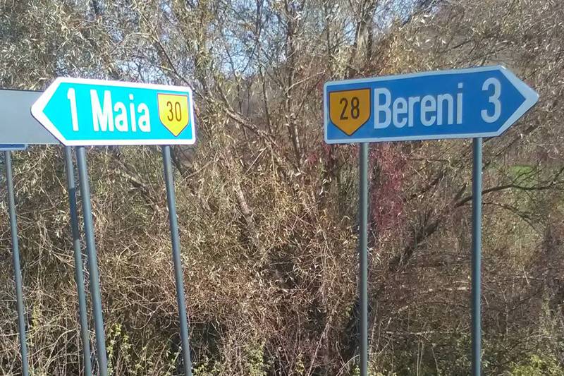•  Fotó: Civil Elkötelezettség Mozgalom (Cemo)