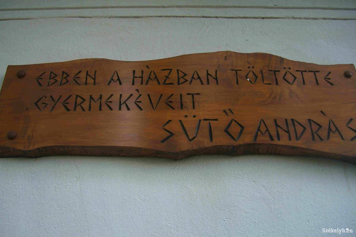•  Fotó: Antal Erika