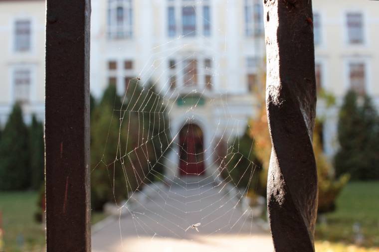 A törvényszék semmisnek nyilvánította az iskolaigazgató elleni per vádiratának egy részét