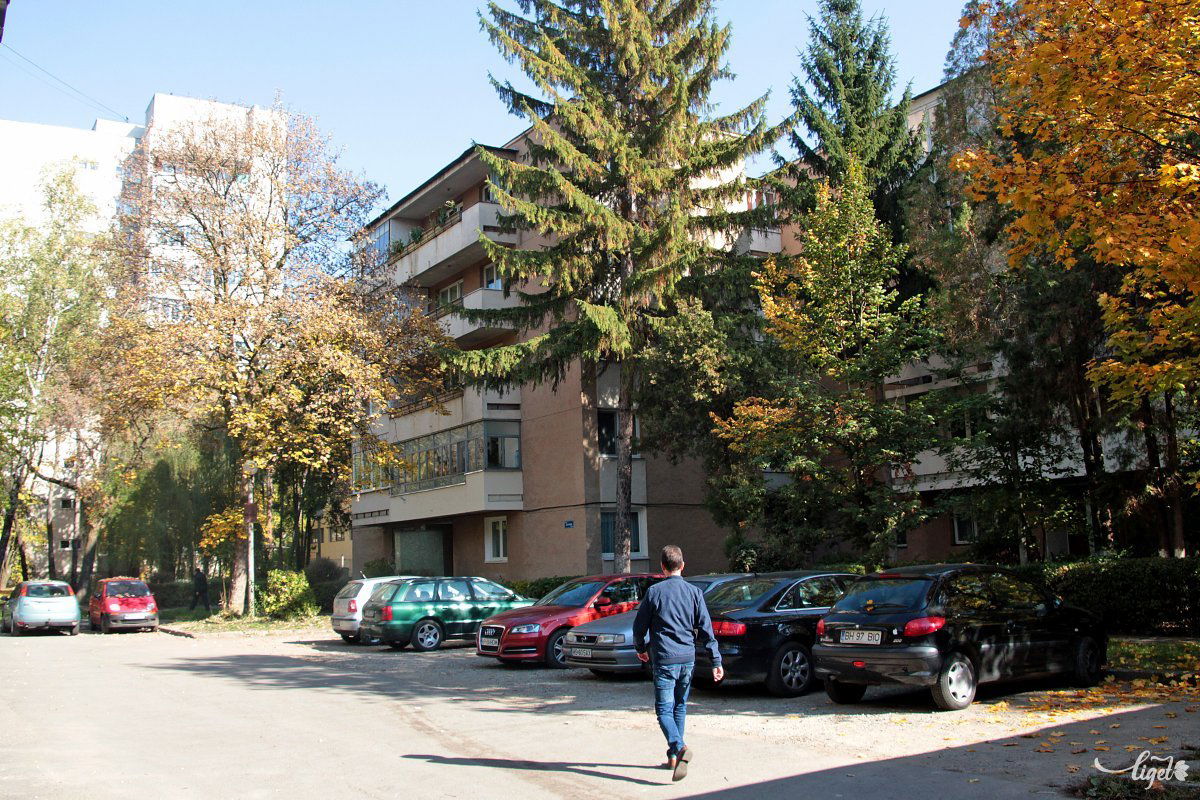 Ma így néz ki az egykori Cigánymező •  Fotó: Haáz Vince