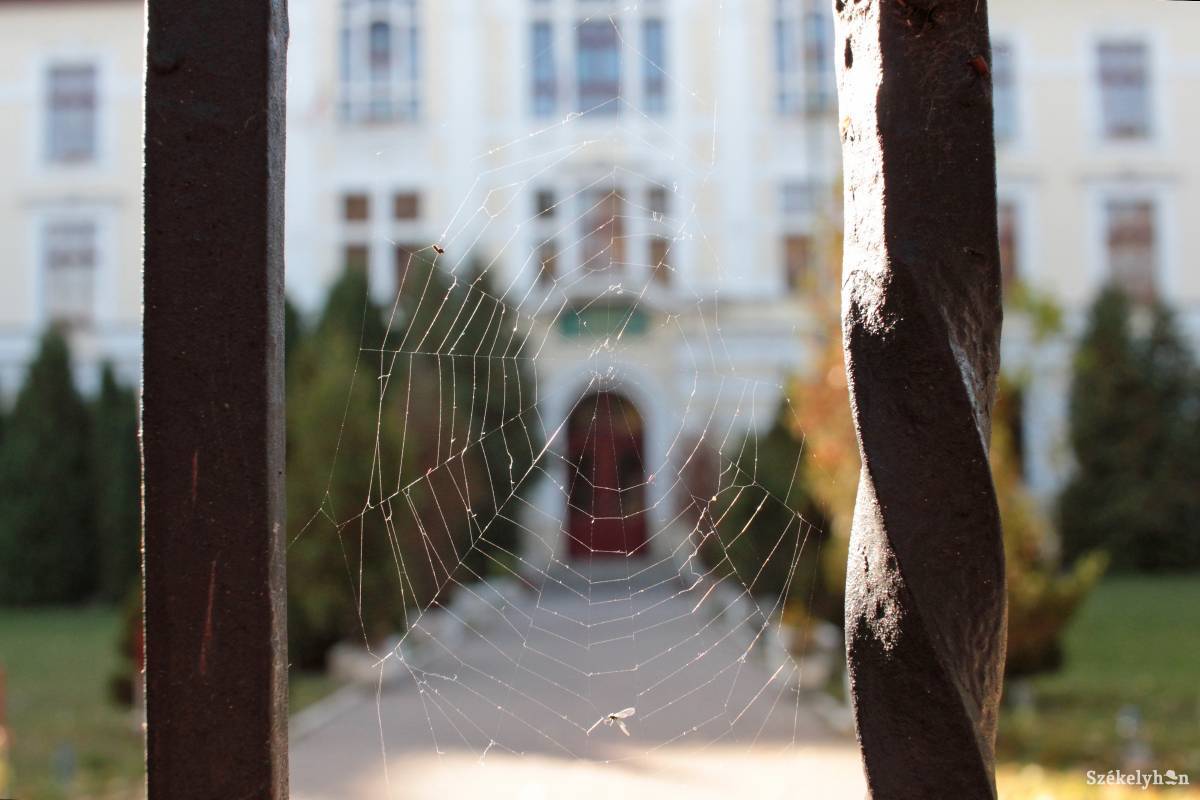 Régóta húzódik a marosvásárhelyi katolikus iskola ügye. Egy lépéssel előbbre a büntetőperben. Archív •  Fotó: Haáz Vince