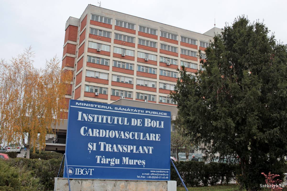 •  Fotó: Haáz Vince