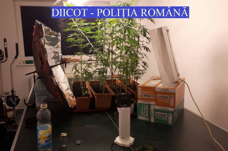 Előzetesben maradnak a csapószentgyörgyi drogügy gyanúsítottjai