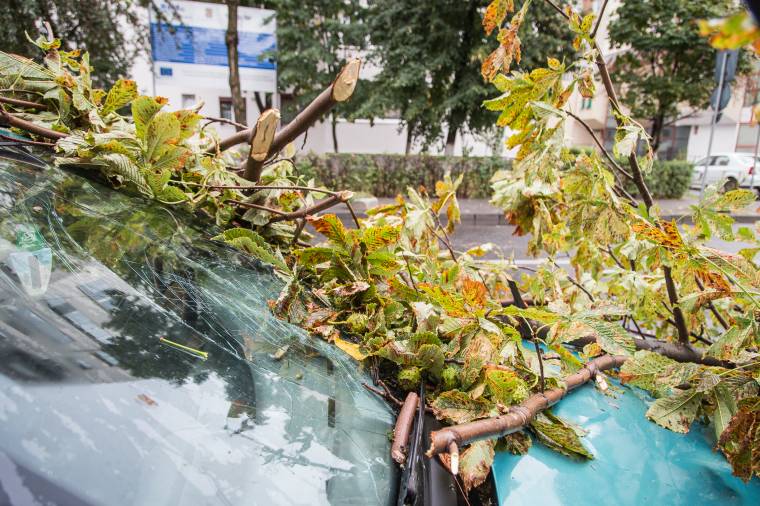 Károkat okozott az eső és a szél