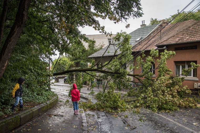 Csaknem 10 ezer háztartás maradt áram nélkül Maros megyében az erős szél miatt