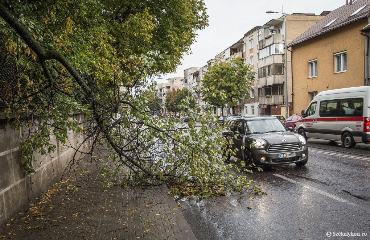 •  Fotó: Boda L. Gergely