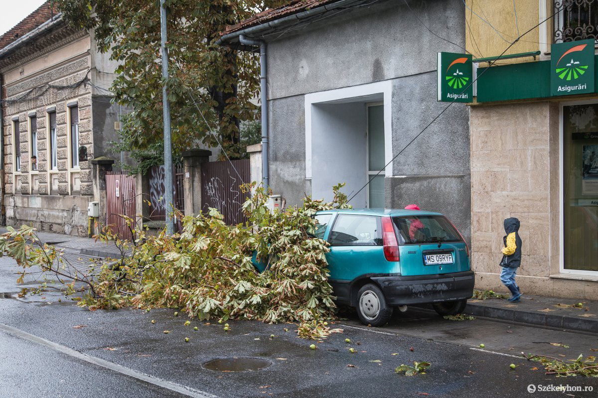•  Fotó: Boda L. Gergely