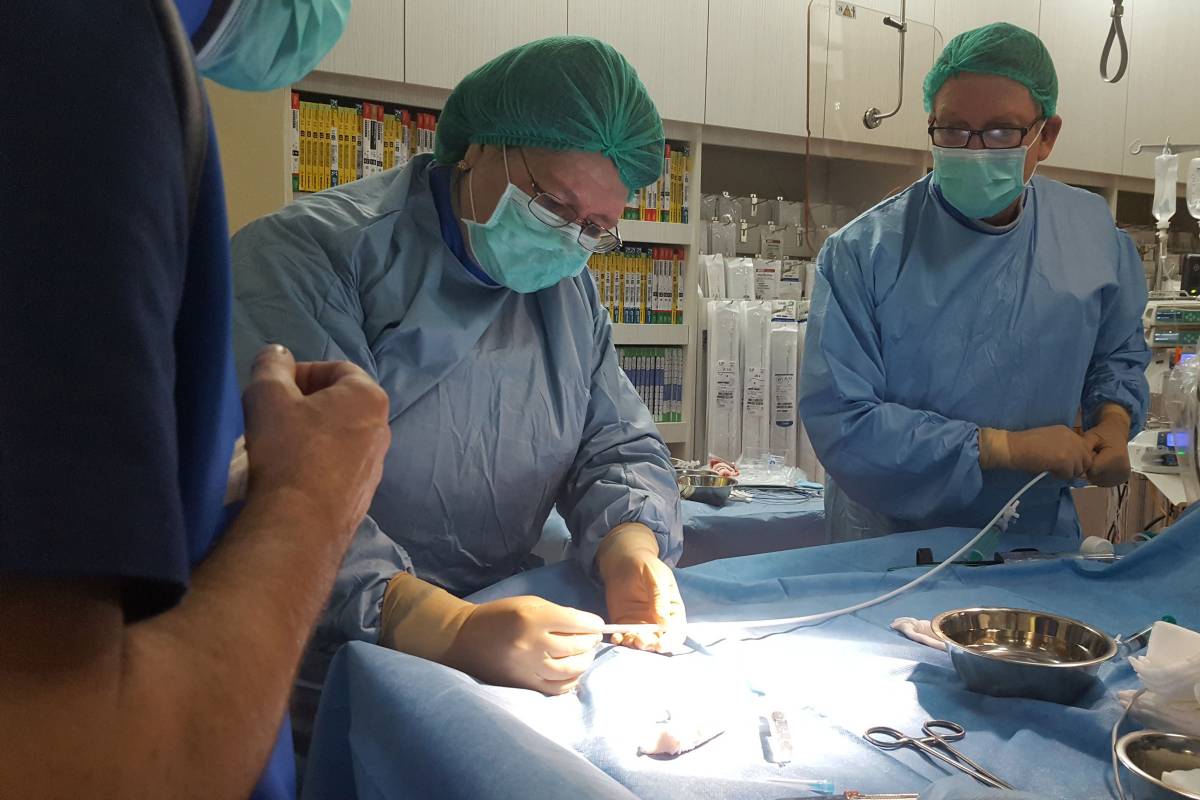 •  Fotó: Szív-érrendszeri és Transzplantációs Intézet