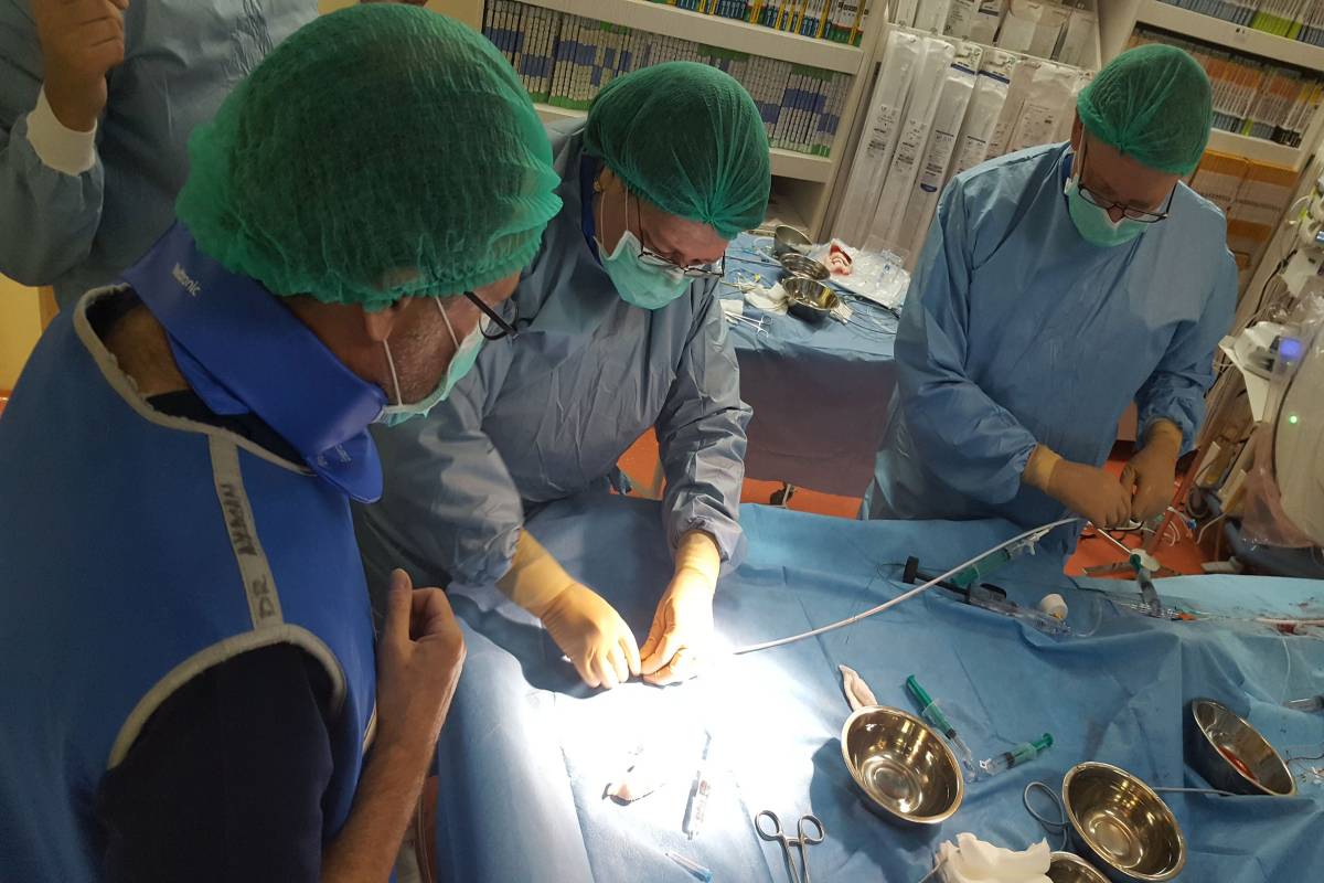 •  Fotó: Szív-érrendszeri és Transzplantációs Intézet