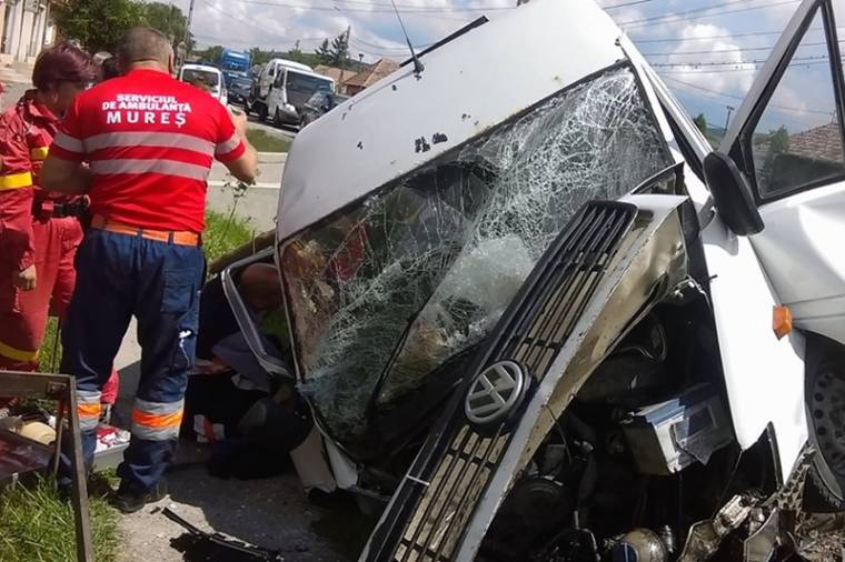 Közúti balesetben veszett oda hét sertés