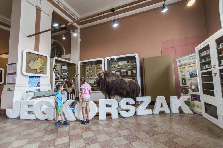 Marosvásárhelyre is elért a Jégkorszak
