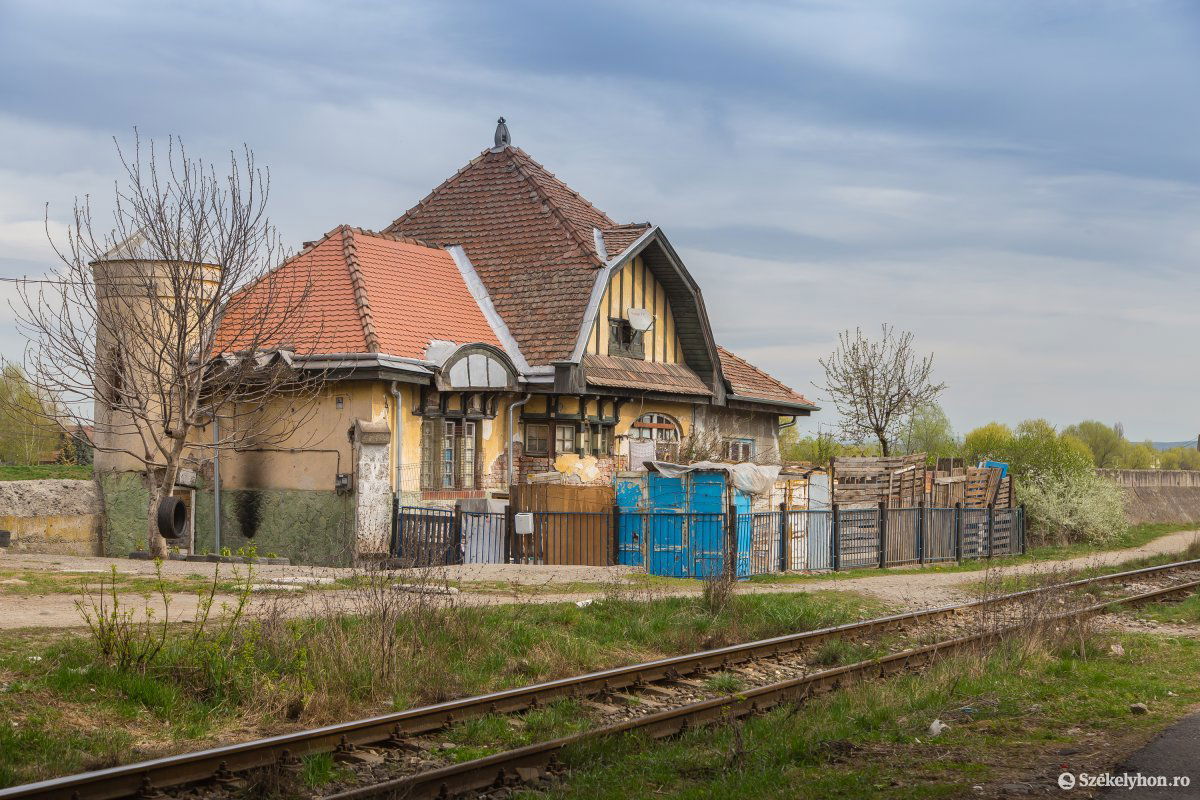 •  Fotó: Boda L. Gergely