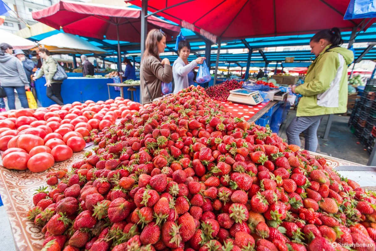 Képünk illusztráció &bullet;  Fotó: Boda L. Gergely