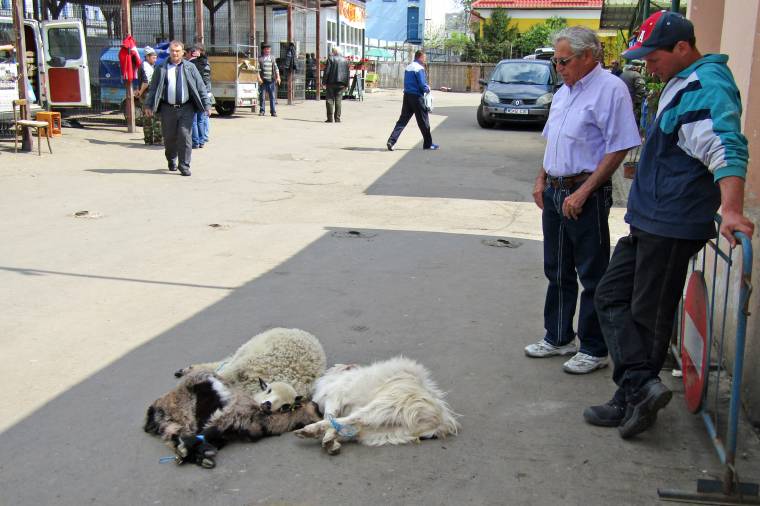 Bezártak egy üzletet az egészségügyi szabályok megsértése miatt