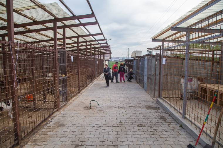 Zöld jelzést kapott a külföldiek németországi sztrádadíja