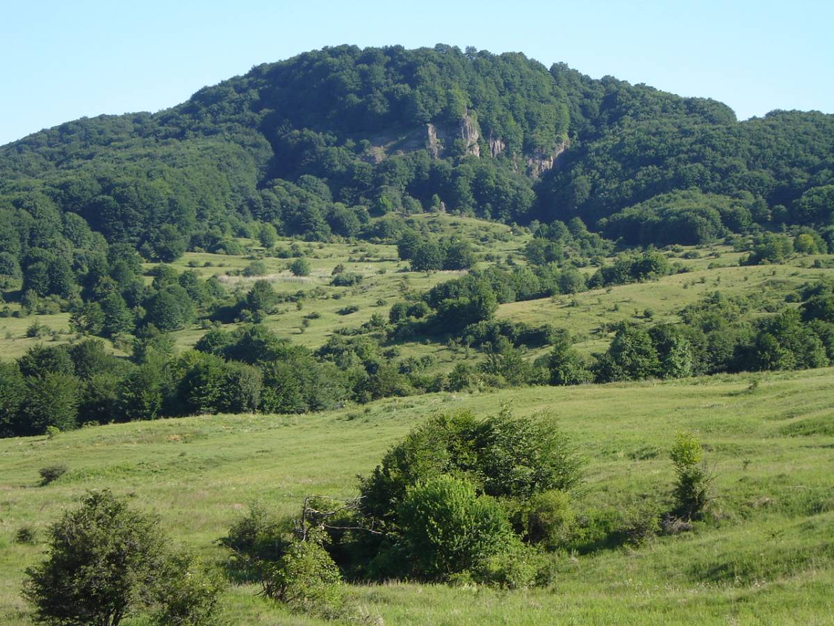 &bullet;  Fotó: Ulveczki Csaba/zoldszekely.ro