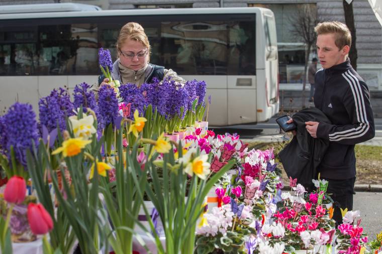 Tavaszi virágvásár nőnapig