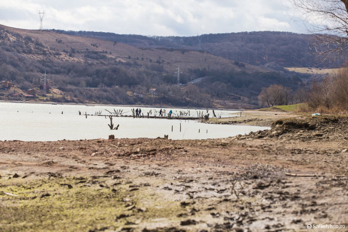 • Fotó: Boda L. Gergely