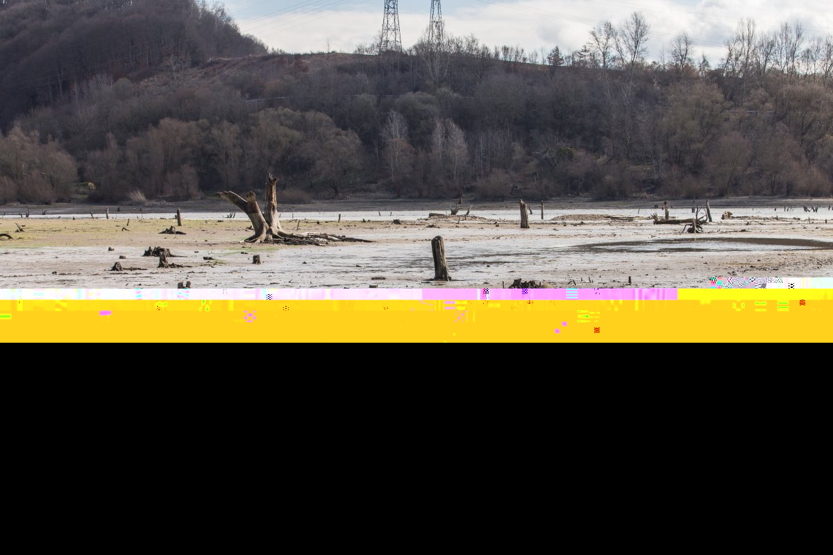 &bullet;  Fotó: Boda L. Gergely