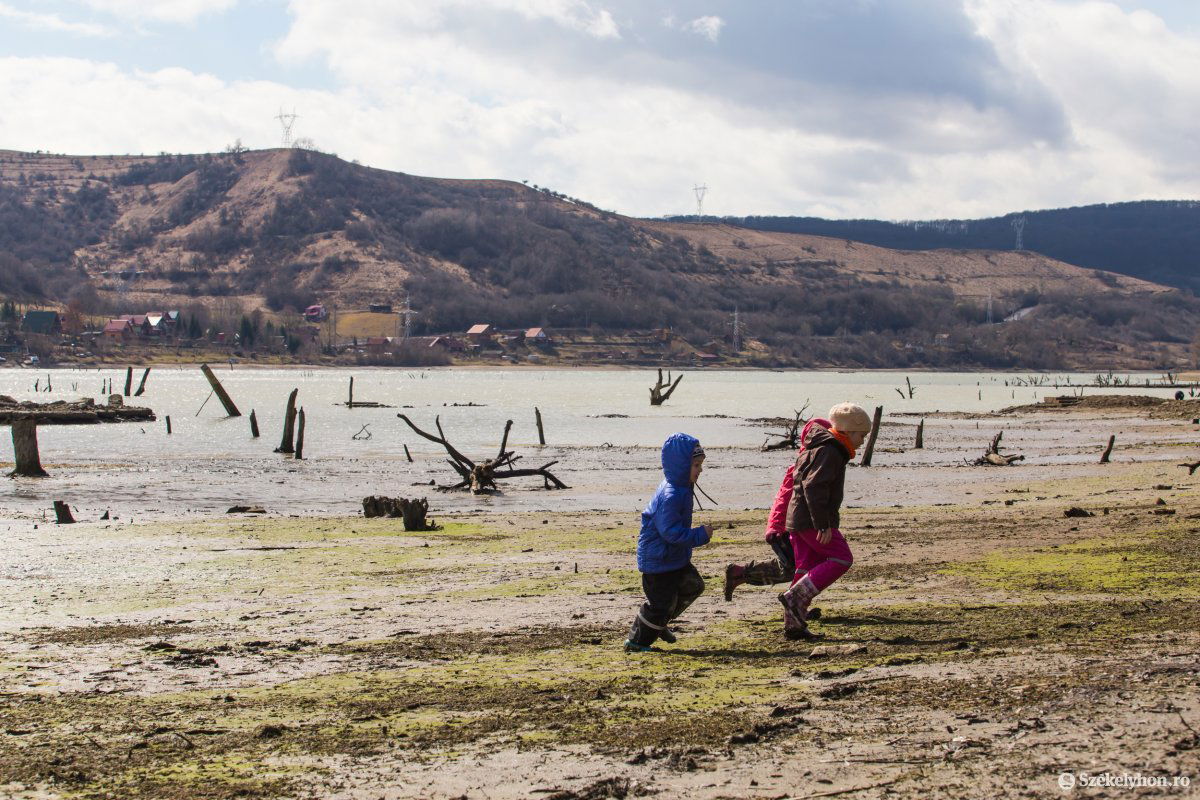 &bullet;  Fotó: Boda L. Gergely