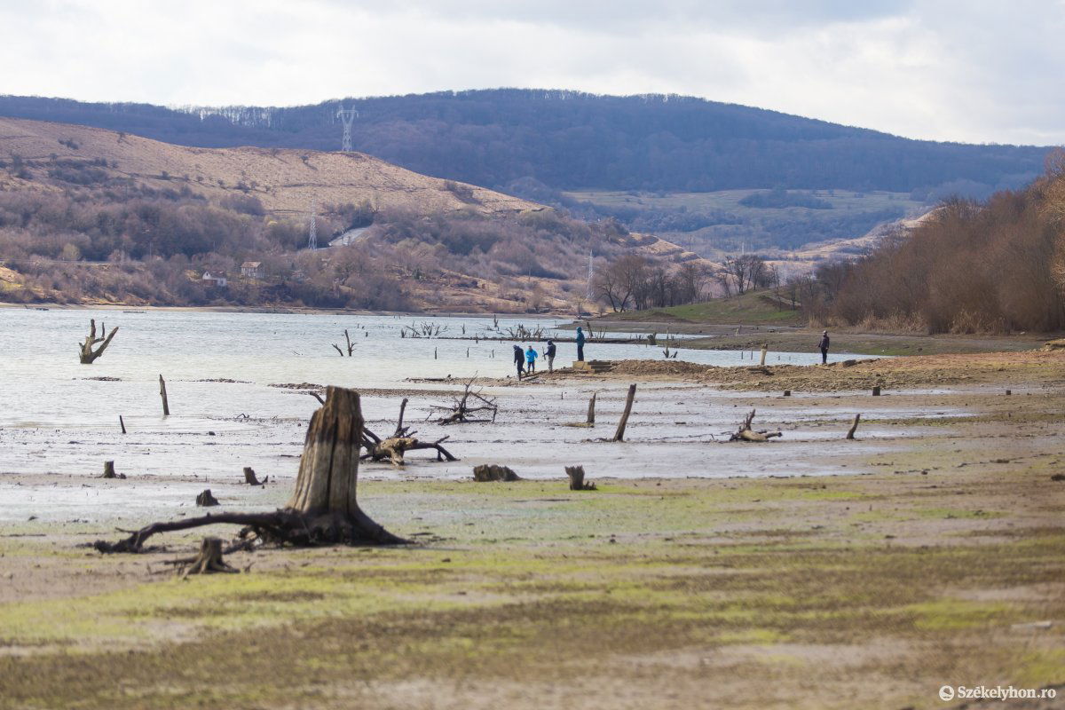 &bullet;  Fotó: Boda L. Gergely