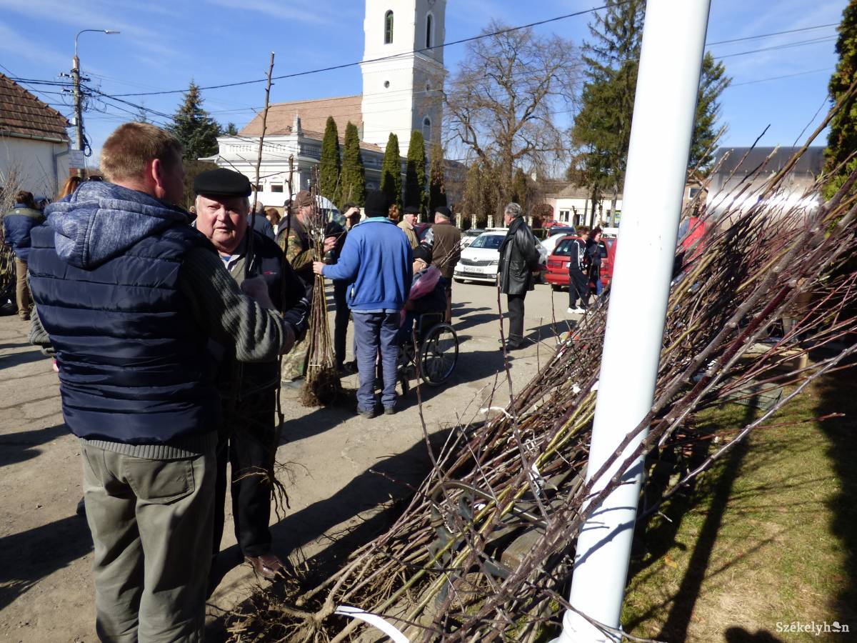 • Fotó: Gligor Róbert László
