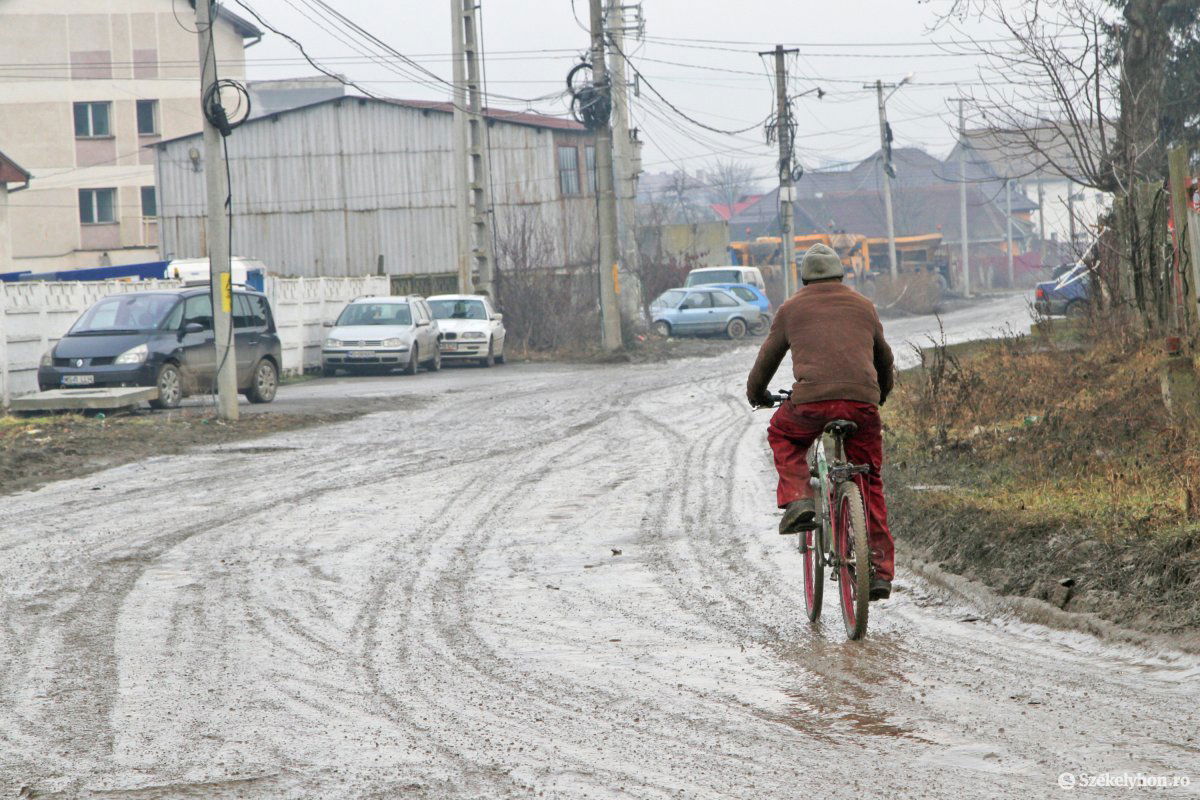 • Fotó: Boda L. Gergely