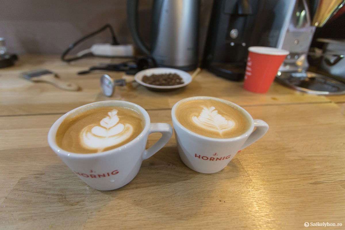 •  Fotó: Boda L. Gergely