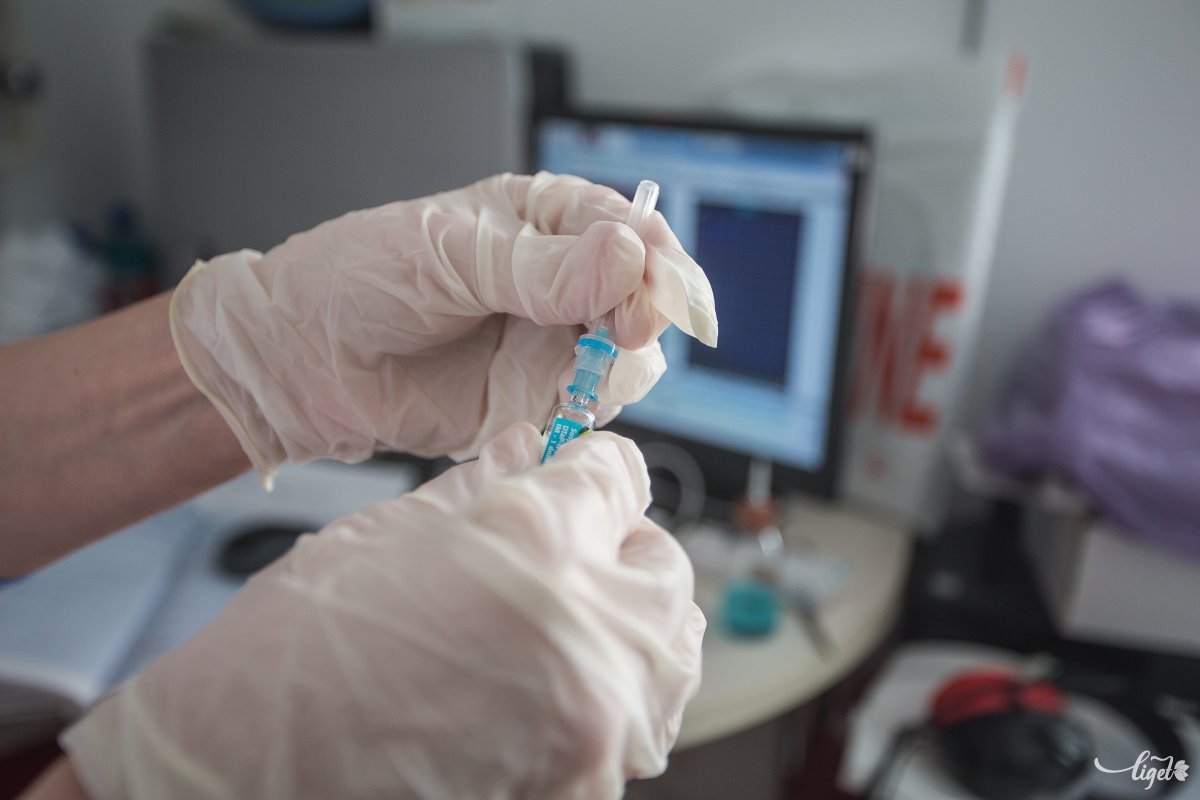 Képünk illusztráció •  Fotó: Boda L. Gergely