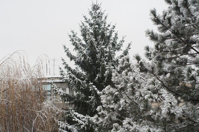 Karácsonyra lehűl az idő, szilveszterre sem jósolnak sok havat a meteorológusok