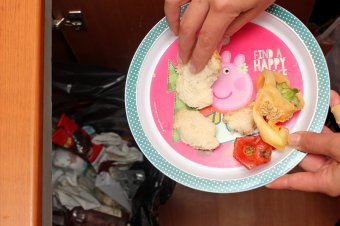 Sokba fáj az élelmiszer-pazarlás: havonta akár 200 lejt is kidob egy romániai lakos