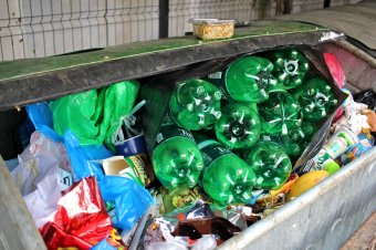 A büntetés büntetése Marosvásárhelyen