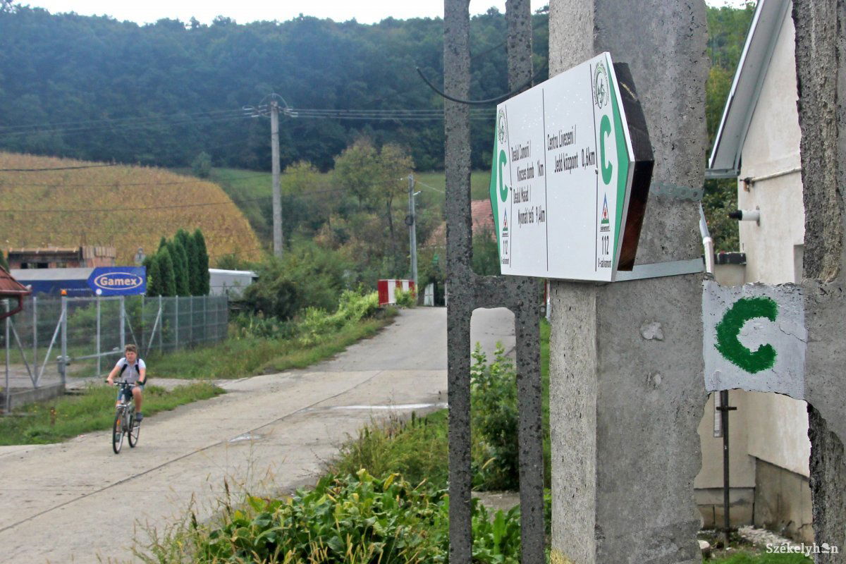 Számítani lehet a medvére a kerékpárúton, fel lehet készülni, de ettől függetlenül veszélyes lehet egy találkozás. A tipikus „mindkét félnek igaza van, csak szerre” esete… &bullet;  Fotó: Haáz Vince