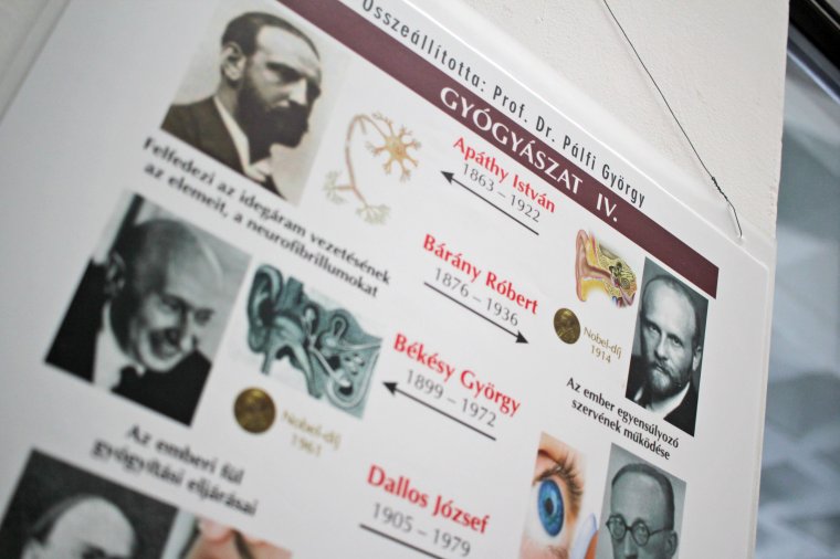 Mit adtak a magyar tudósok a nagyvilágnak?