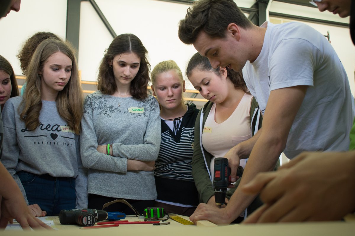 •  Fotó: Hello Wood alkotócsoport