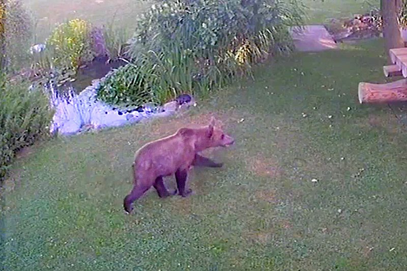 &bullet;  Fotó: punctul.ro