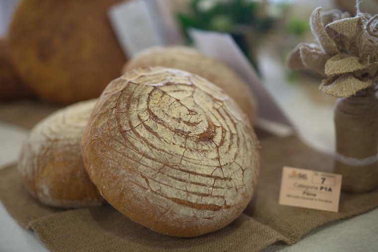 Csíkszéki díjak a GastroPan Év kenyere versenyéről