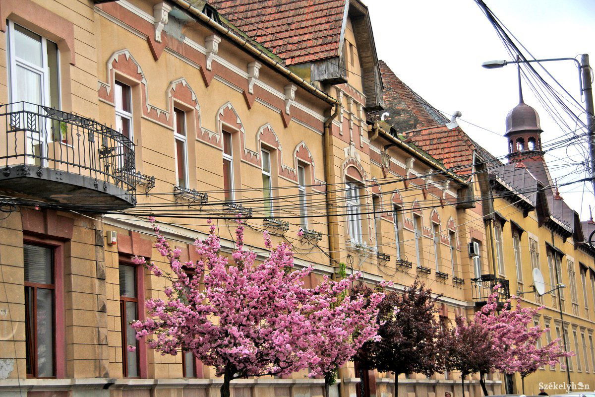 •  Fotó: Haáz Vince