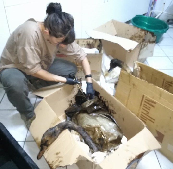 •  Fotó: Milvus Csoport