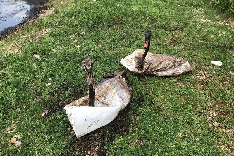 • Fotó: Milvus Csoport