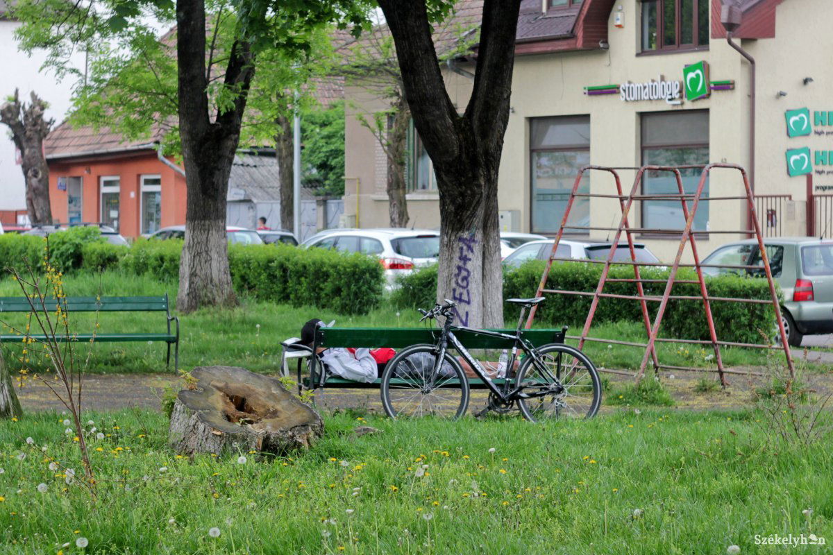 &bullet;  Fotó: Haáz Vince