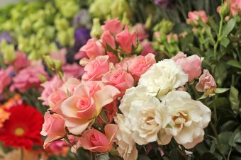 Nőnapi virágtrendek: a tulipántól az örök életű rózsáig