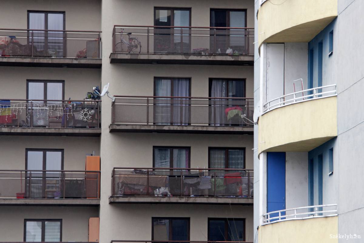 •  Fotó: Haáz Vince