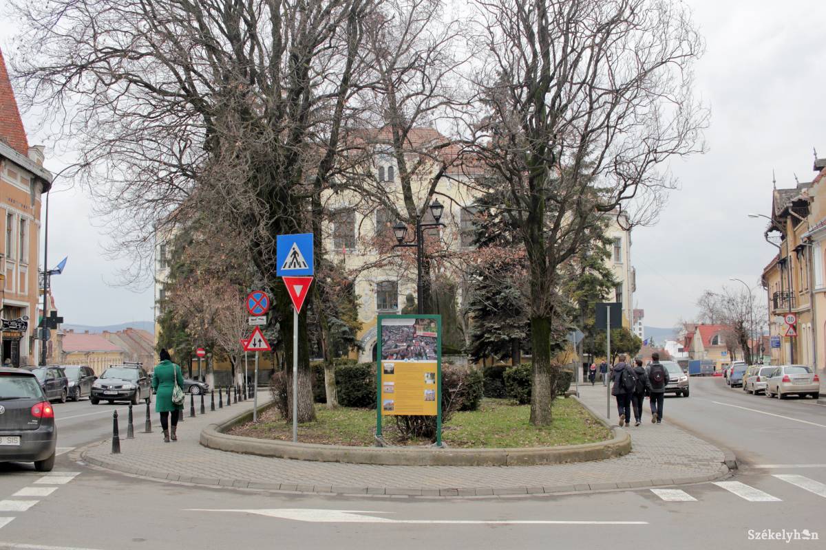 •  Fotó: Haáz Vince