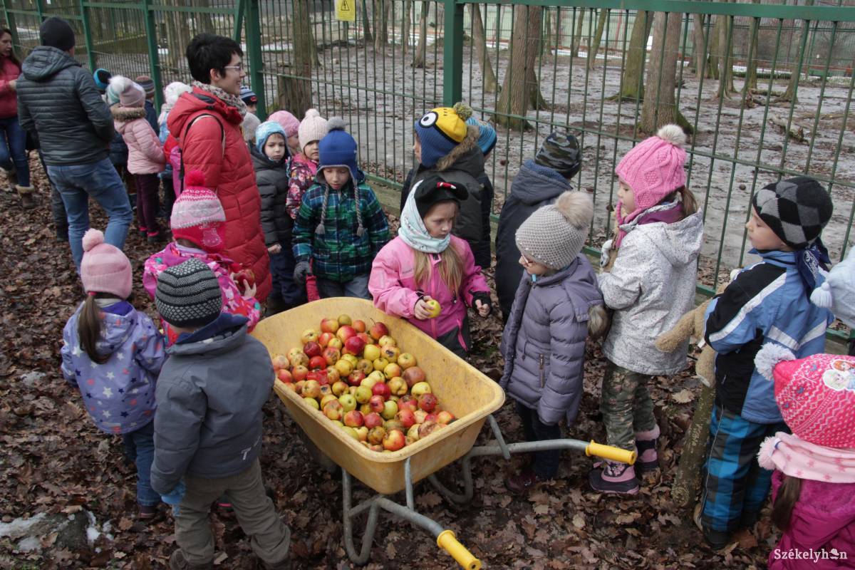 •  Fotó: Haáz Vince