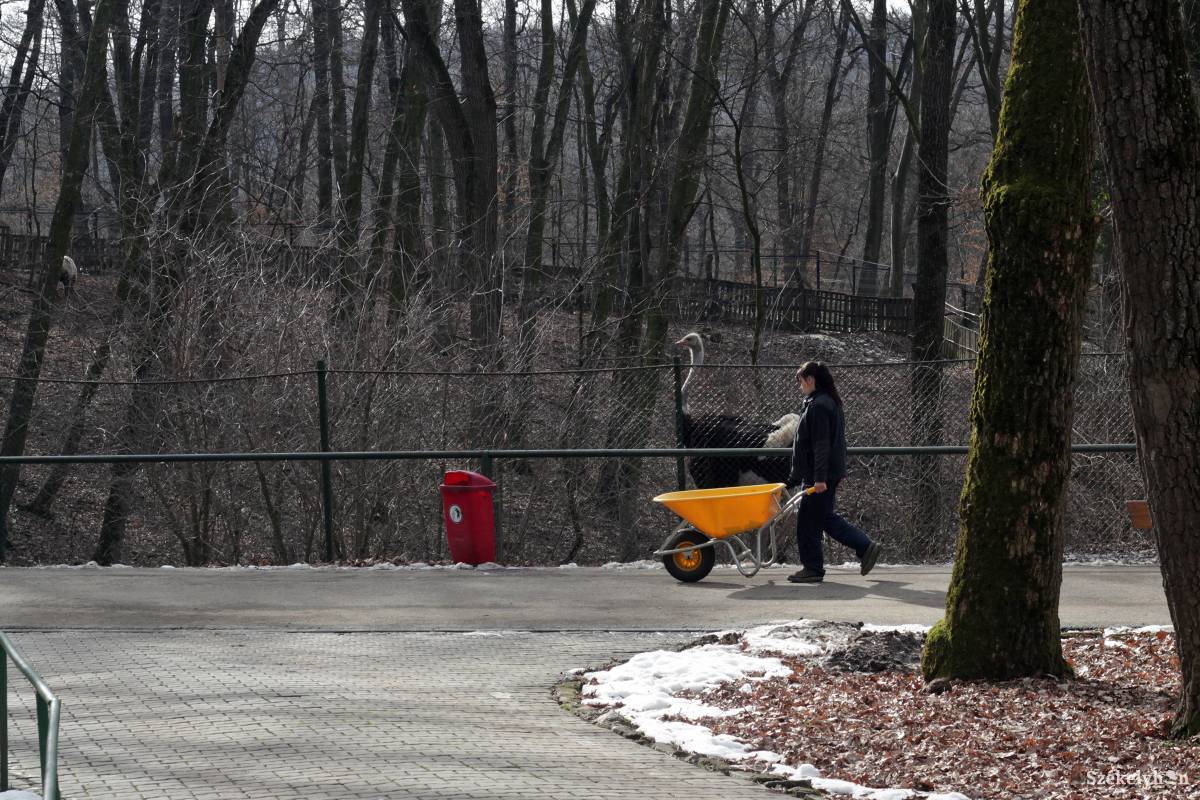 •  Fotó: Haáz Vince